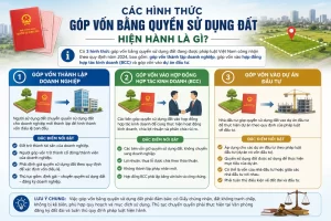 Các hình thức góp vốn bằng quyền sử dụng đất hiện hành là gì?