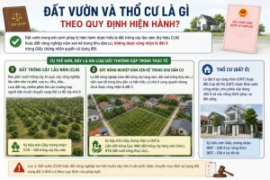 Đất vườn và thổ cư là gì theo quy định hiện hành?