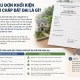 Mẫu đơn khởi kiện tranh chấp đất đai là gì?