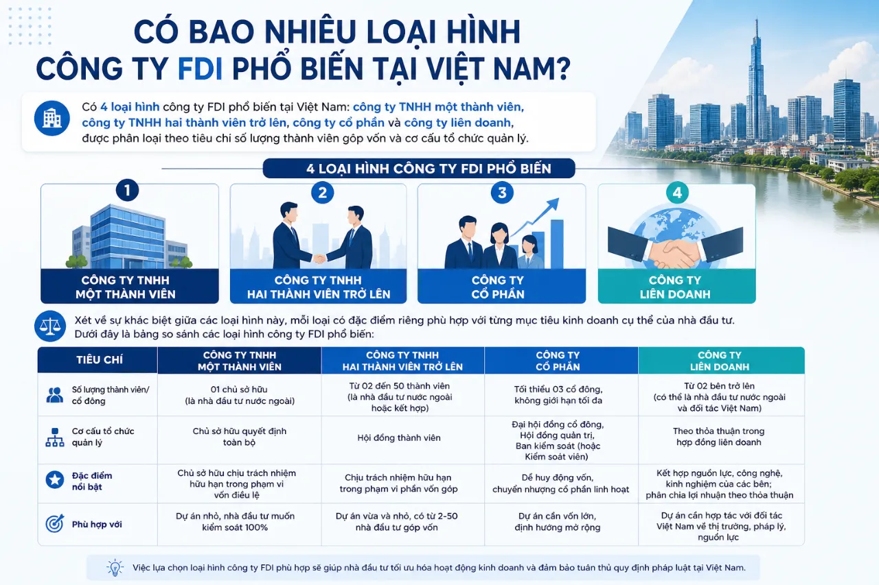 Có Bao Nhiêu Loại Hình Công Ty FDI Phổ Biến Tại Việt Nam?